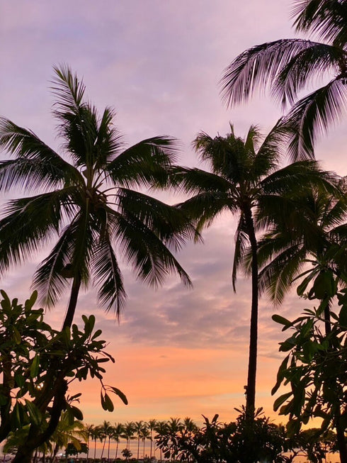 Timelapse 18:30-aloha Necklace