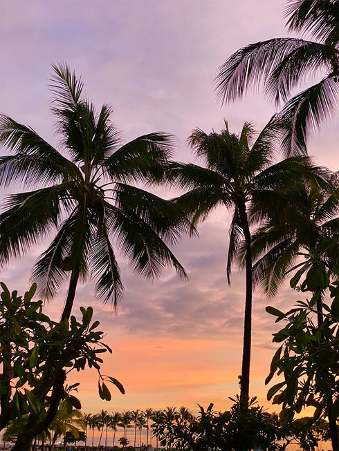 Timelapse 18:30-aloha Ring